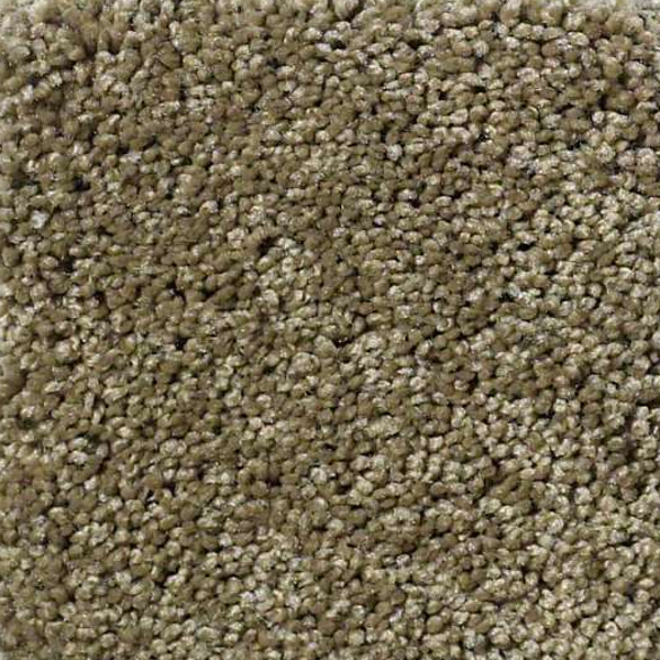 Shaw Floors Enduring Comfort III Summerhouse SHAW