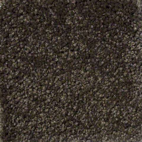 Philadelphia Commercial Everyday Comfort (S) Amazon Shaw