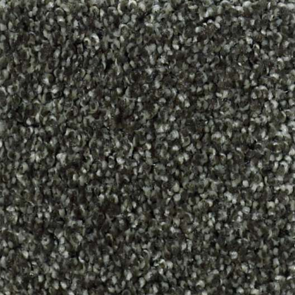 Shaw Floors Picturesque Garden Retreat SHAW