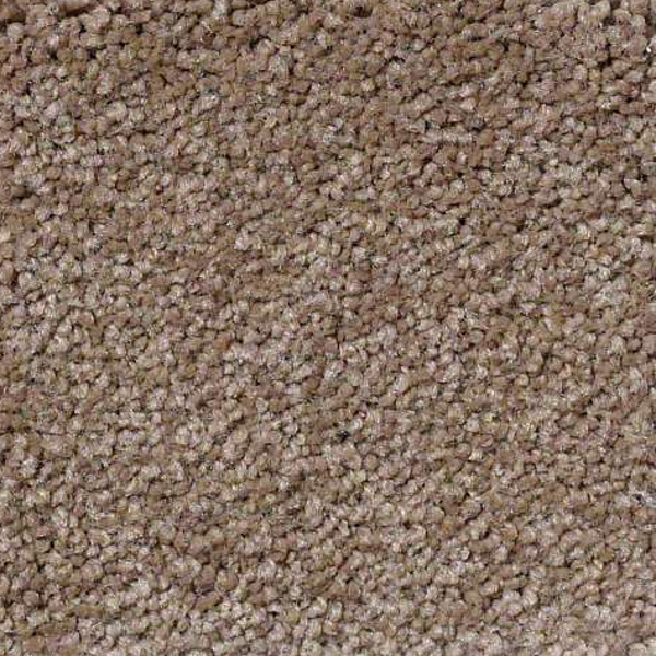 Philadelphia Commercial Everyday Comfort (S) Log Cabin Shaw