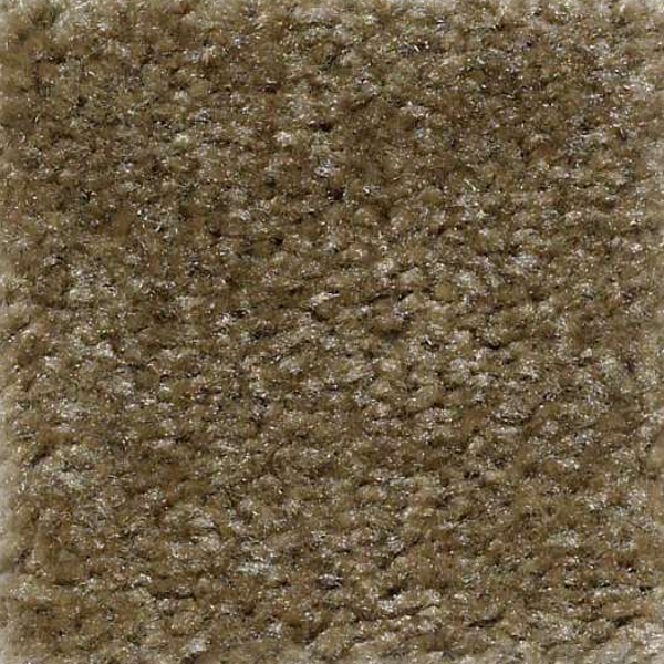 Shaw Floors Zipp Yalta SHAW