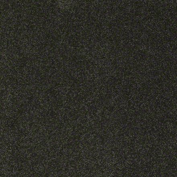 Shaw Floors Sandy Hollow Classic II Lily Pad SHAW