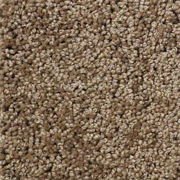 Shaw Floors Enduring Comfort II Bonsai SHAW