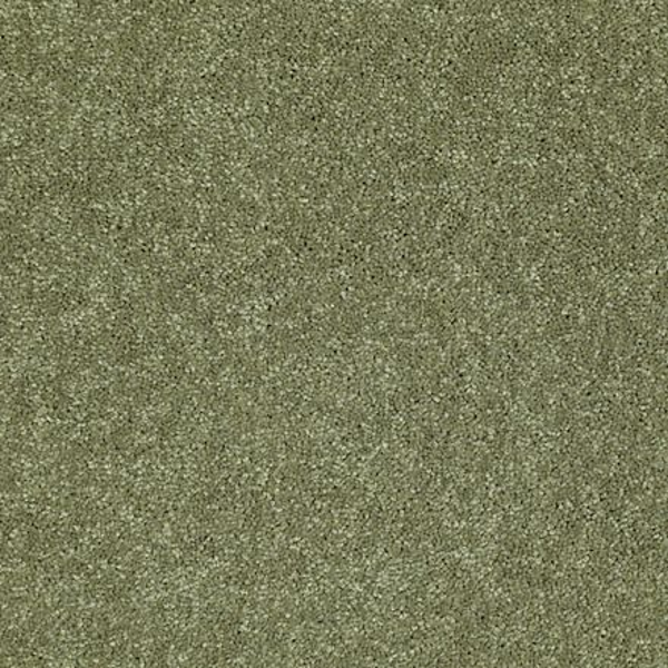 Shaw Floors Dalton 40 12 Going Green SHAW