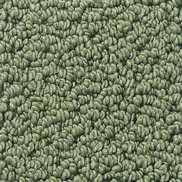 Shaw Floors Truly Relaxed Loop Bay Laurel SHAW