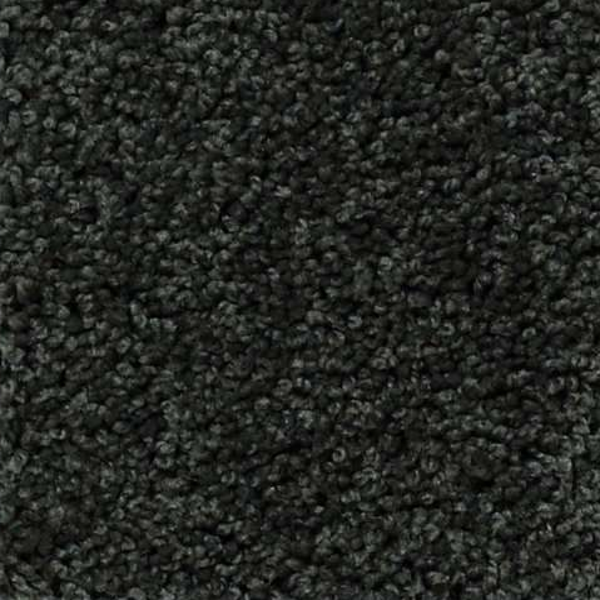 Shaw Floors My Choice III Peaceful Garden SHAW