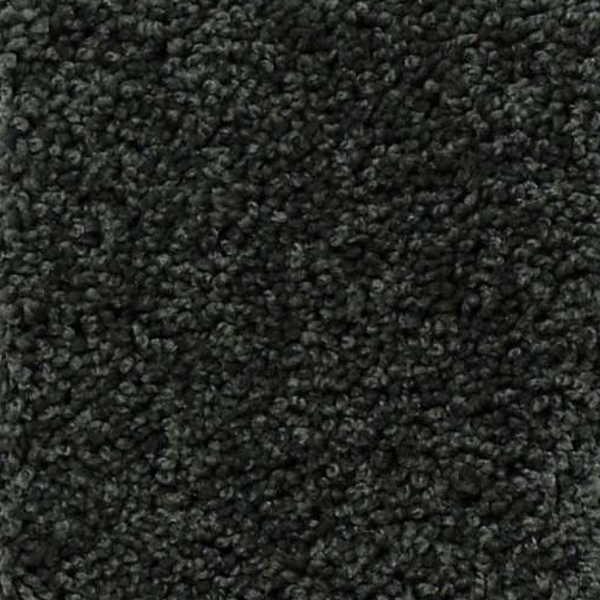 Shaw Floors My Choice I Peaceful Garden SHAW