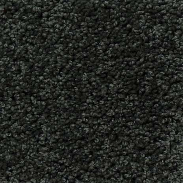 Shaw Floors My Choice II Peaceful Garden SHAW