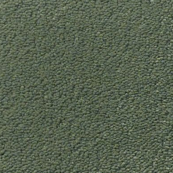 Tuftex Perfect Choice Dynasty Green SHAW