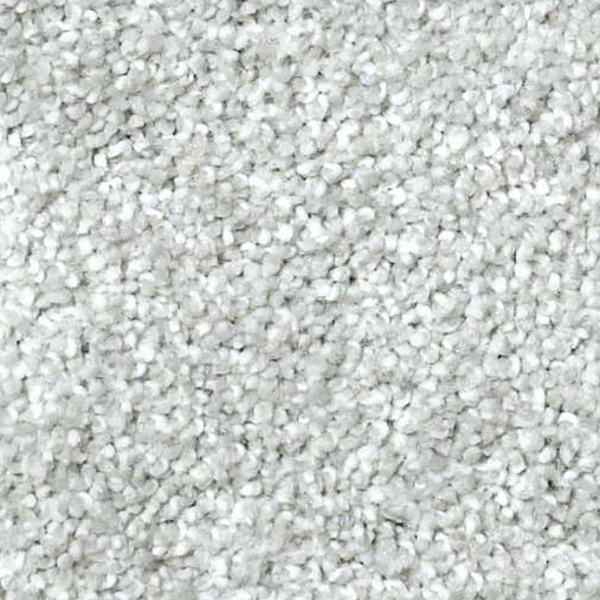 Shaw Floors Picturesque Drizzle SHAW