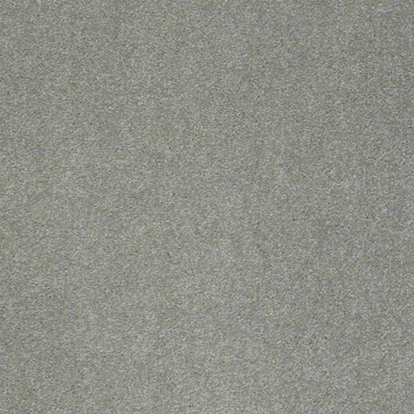 Shaw Floors Sandy Hollow Classic II Tropical SHAW