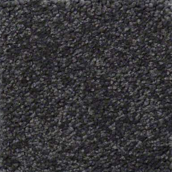 Shaw Floors Sandy Hollow Classic III Dutch Boy SHAW