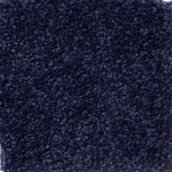 Shaw Floors Magic At Last IV 15' Blue Ink SHAW