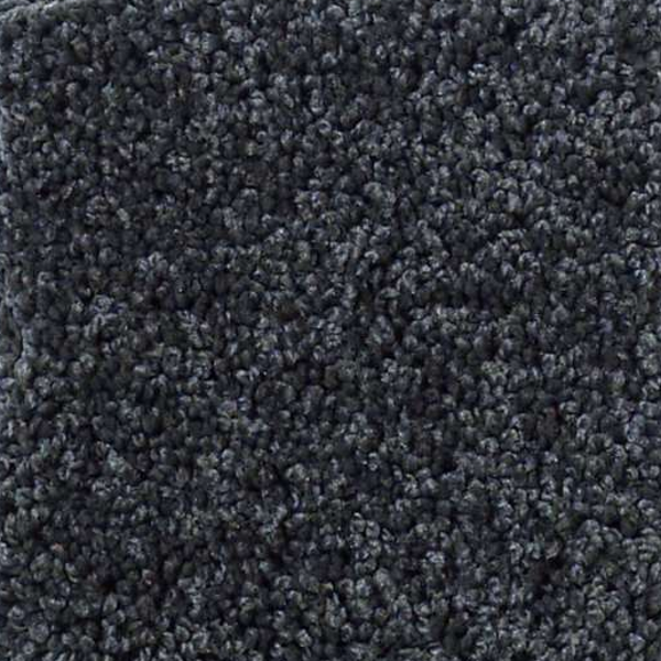 Shaw Floors My Choice I Indigo SHAW