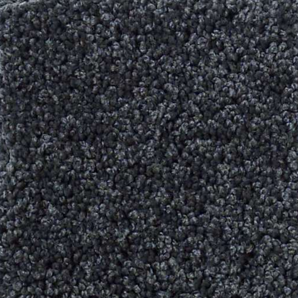 Shaw Floors My Choice II Indigo SHAW