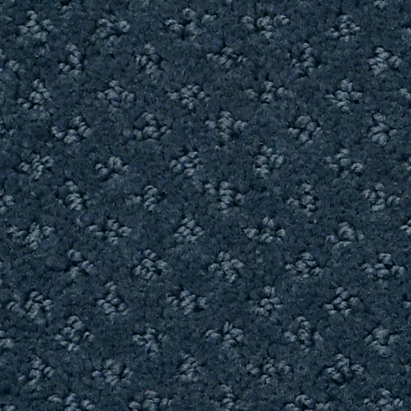 Shaw Floors Infallible Instinct Modern Spaces SHAW