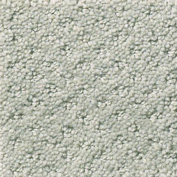 Shaw Floors Infallible Instinct Offshore SHAW