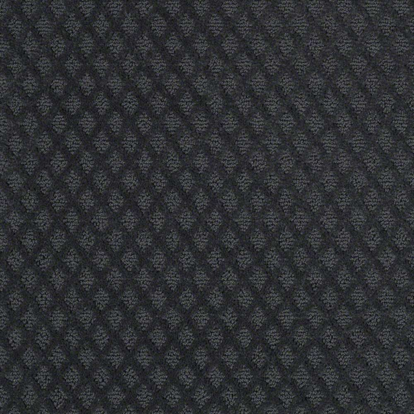 Shaw Floors Entwined With You Moon Bay SHAW