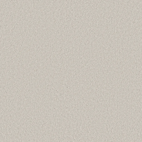 Shaw Floors Velvet Touch II Frozen SHAW