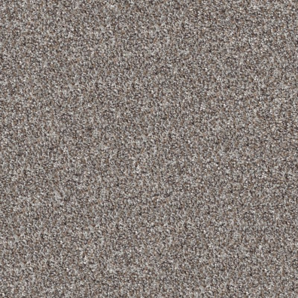 Shaw Floors Elevated I River Rock SHAW