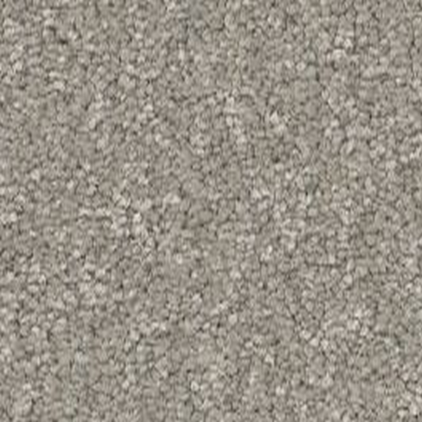 Shaw Floors Way To Go I Taupe Tone SHAW