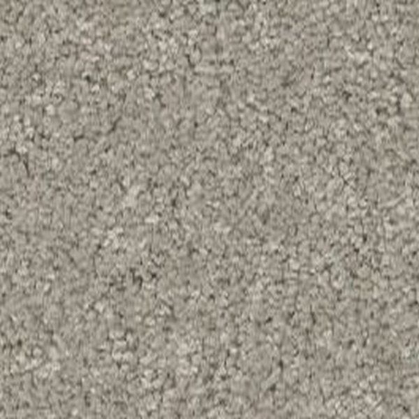 Shaw Floors Way To Go II Taupe Tone SHAW