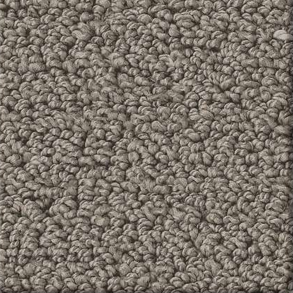 Shaw Floors Intricate Trace Ashes SHAW