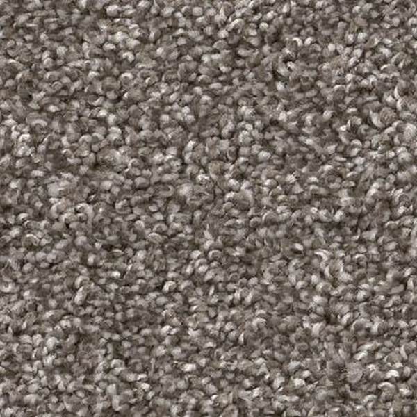 Shaw Floors Yes You Can I 15' Ashes SHAW