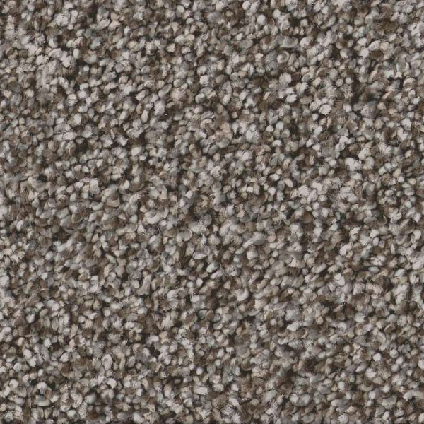 Shaw Floors Artistic Fusion II Ashes SHAW