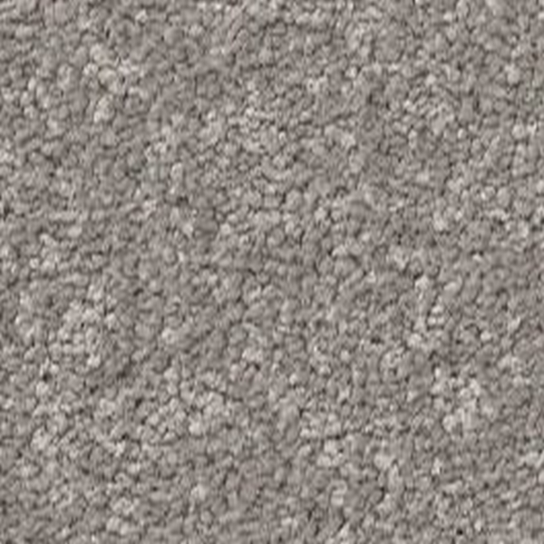 Shaw Floors Way To Go I Chicago Fog SHAW