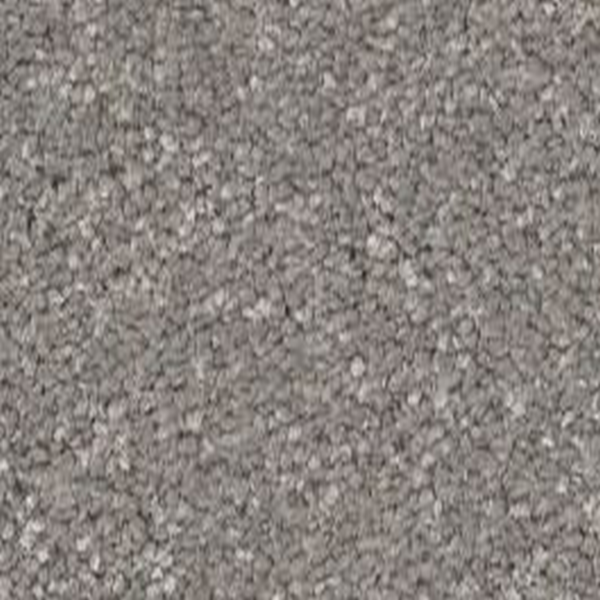 Shaw Floors Way To Go III Chicago Fog SHAW