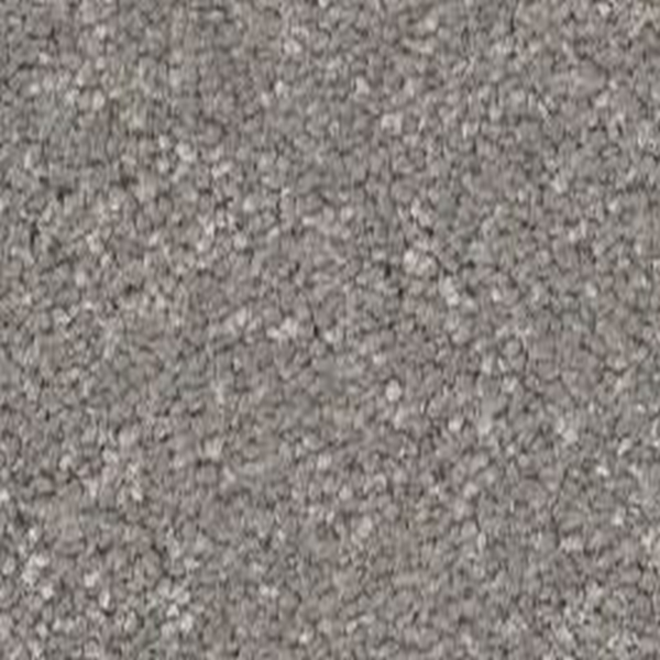 Shaw Floors Way To Go II Chicago Fog SHAW