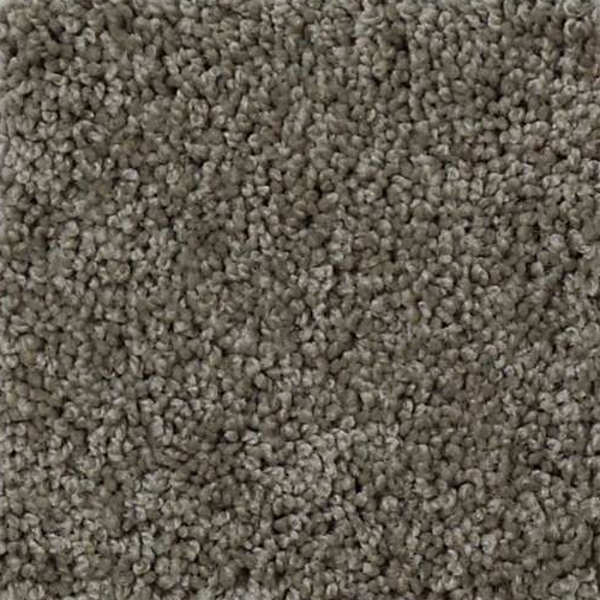 Shaw Floors My Choice I Grey Flannel SHAW