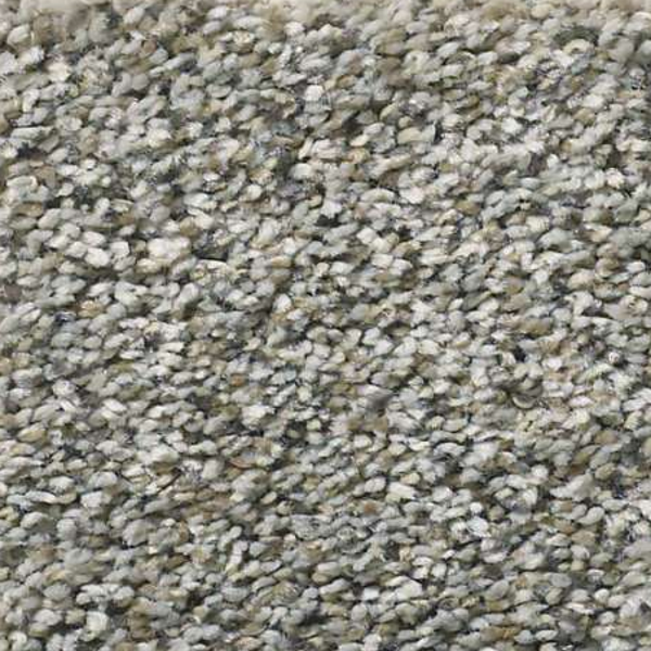 Shaw Floors All Set I Rhino SHAW