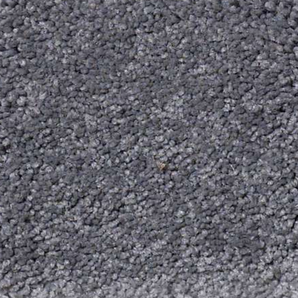 Shaw Floors Magic At Last III 12' Aluminum SHAW