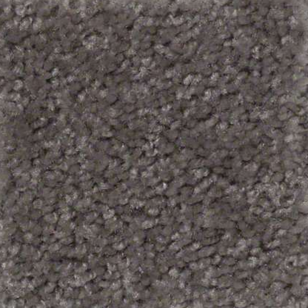 Shaw Floors Big Event Plus Monterey Grey SHAW