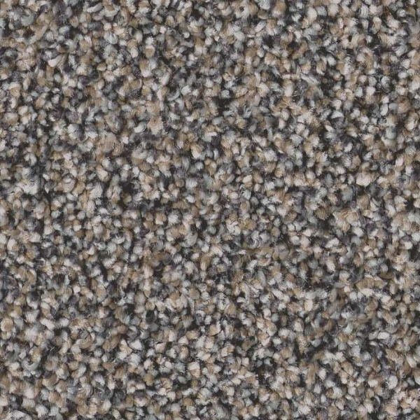 Shaw Floors Artistic Fusion I Shadow SHAW