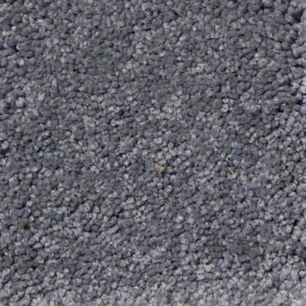 Shaw Floors Sandy Hollow Classic I Slate SHAW