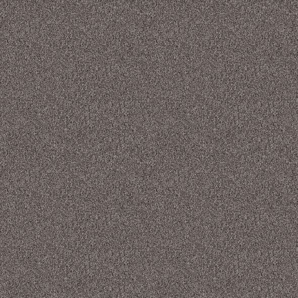 Shaw Floors Influencer Desert View SHAW