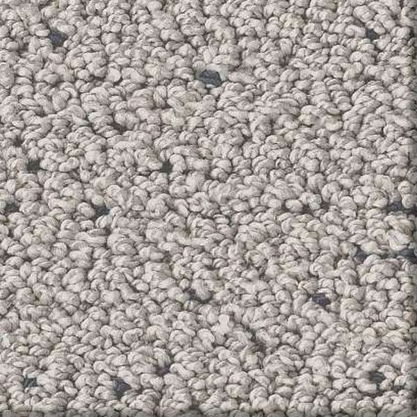 Shaw Floors Intricate Trace Flannel SHAW