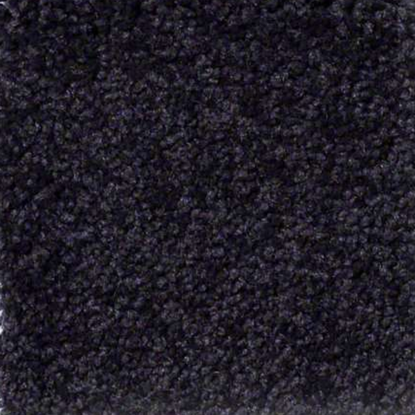 Shaw Floors Sandy Hollow Classic II Graphite SHAW