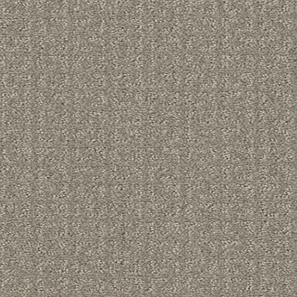 Shaw Floors Transform Fossil SHAW