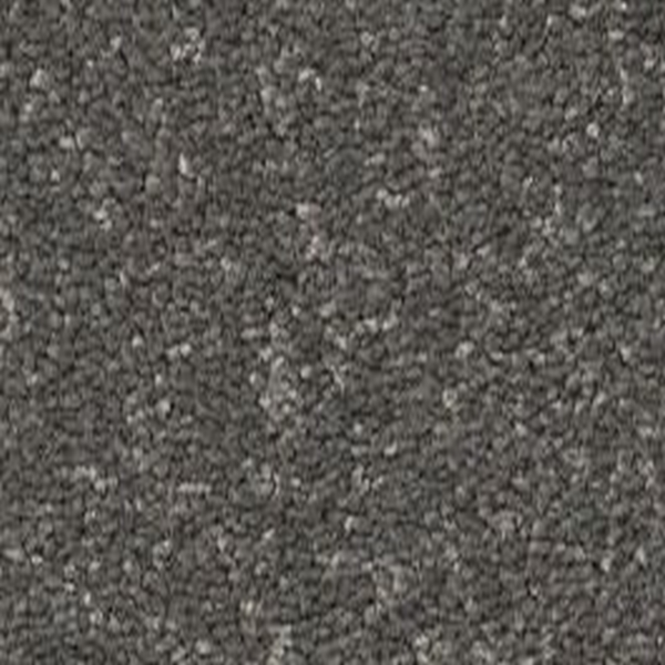 Shaw Floors Way To Go I Galaxy SHAW