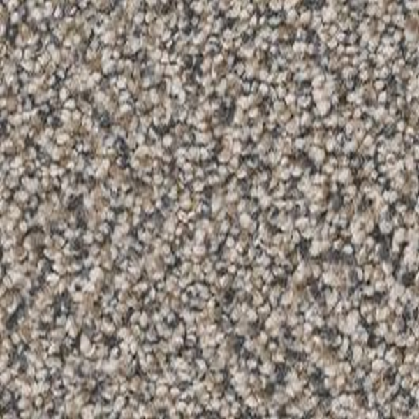 Shaw Floors True Spirit 13 Concrete SHAW