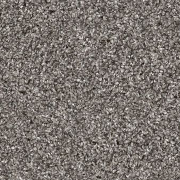 Shaw Floors Yes You Can I 15' Vintage SHAW