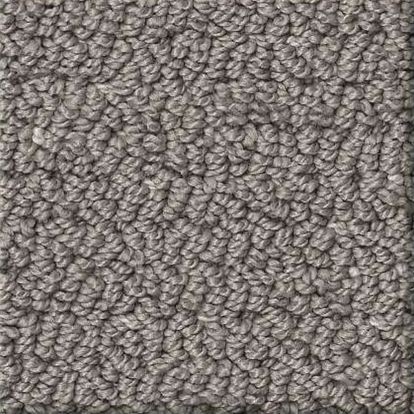 Shaw Floors Intricate Trace Vintage SHAW