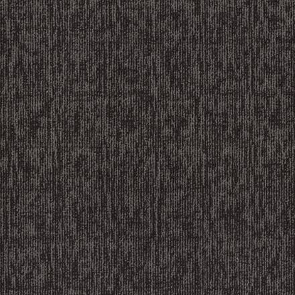 Philadelphia Commercial Elemental Vital Shaw