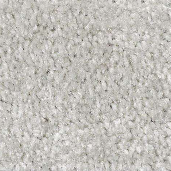 Shaw Floors Zipp Conifer SHAW