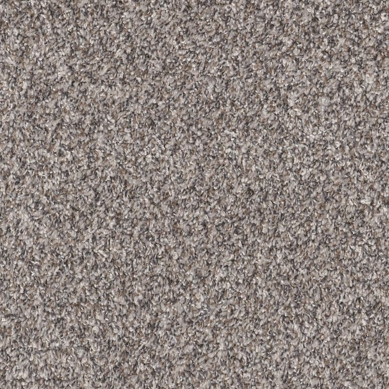 Shaw Floors Shake It Up (A) Oxford SHAW