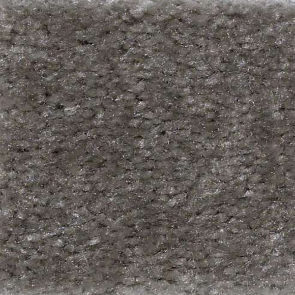 Shaw Floors Zipp Blair SHAW